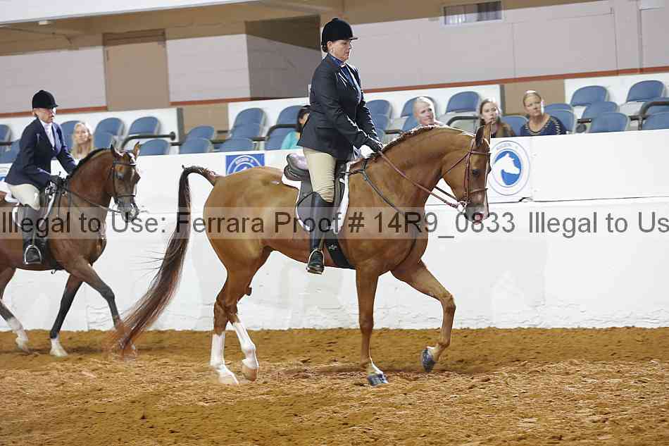 Proof 14r9_0833