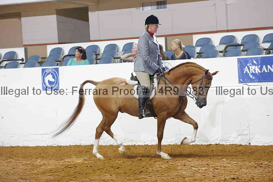 Proof 14r9_0837