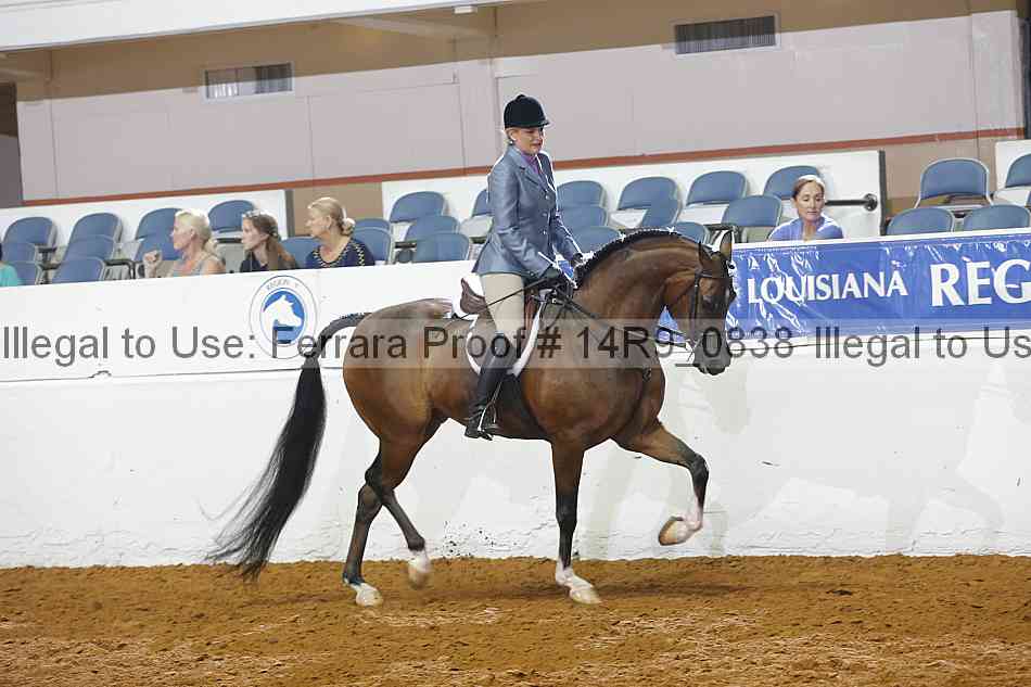 Proof 14r9_0838