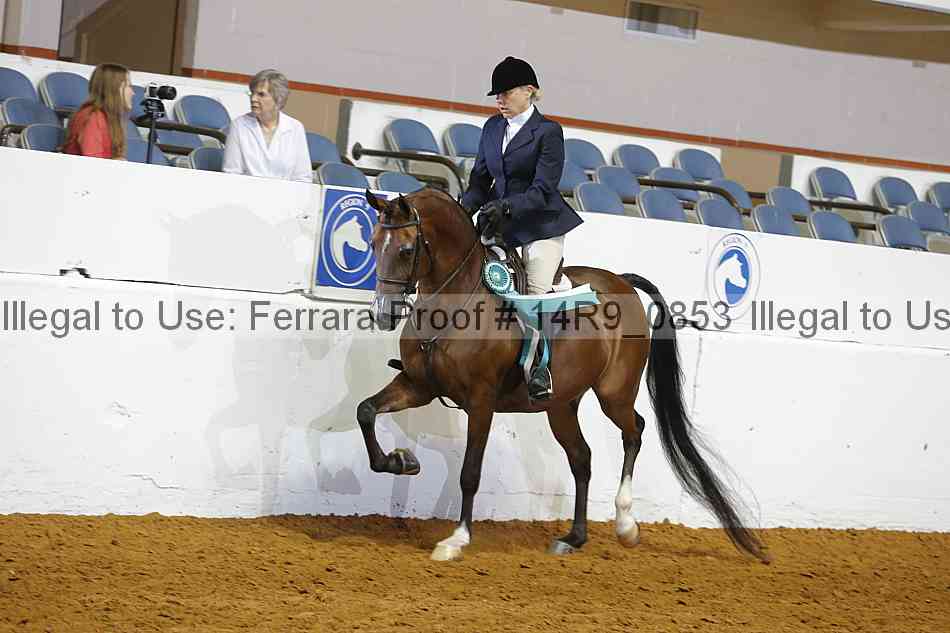 Proof 14r9_0853