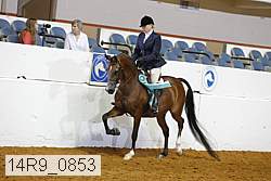 14r9_0853 proof