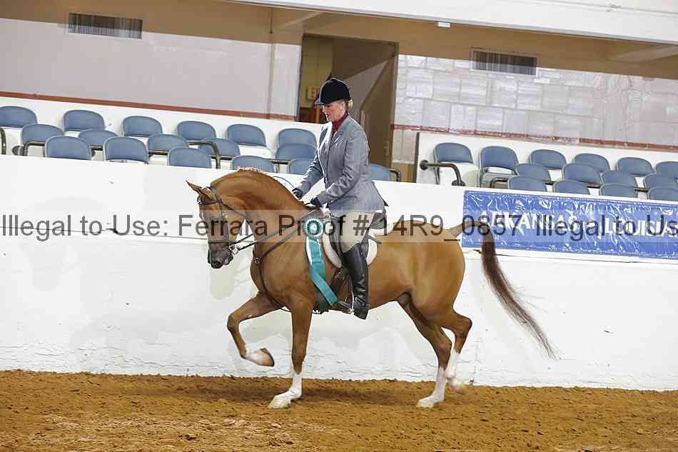Proof 14r9_0857