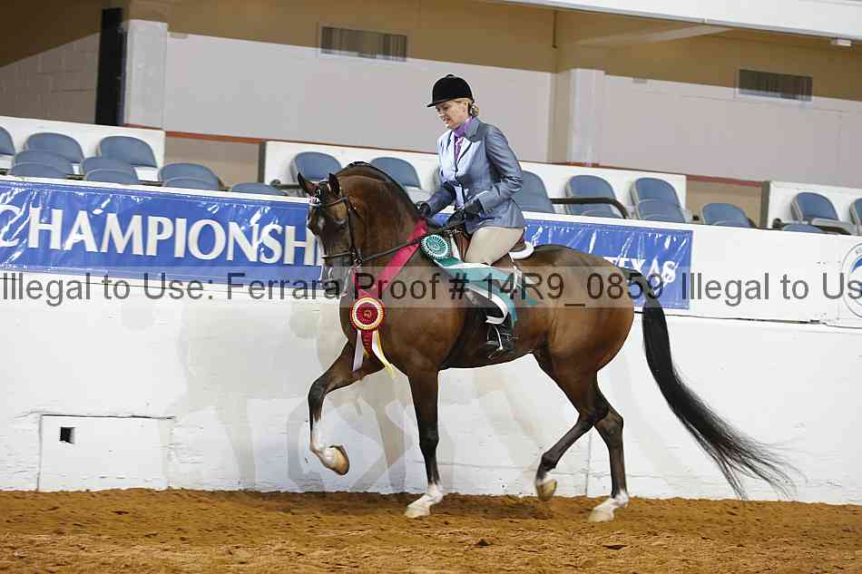 Proof 14r9_0859