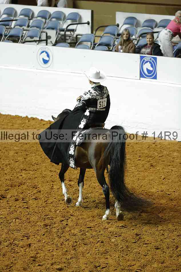 Proof 14r9_0867