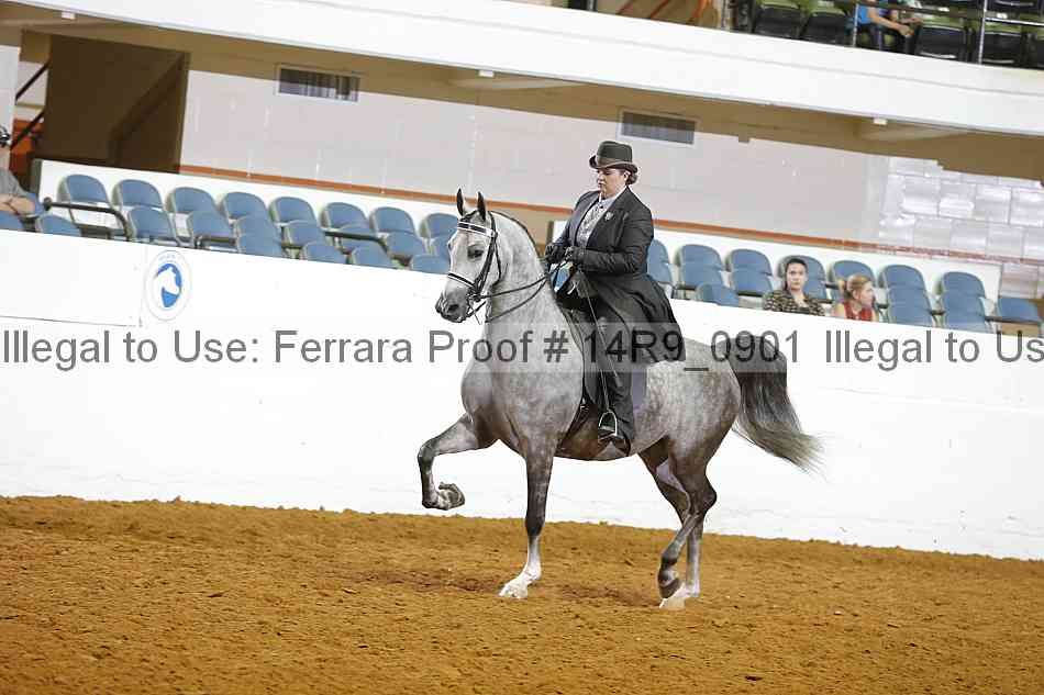 Proof 14r9_0901