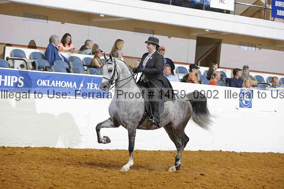 Proof 14r9_0902