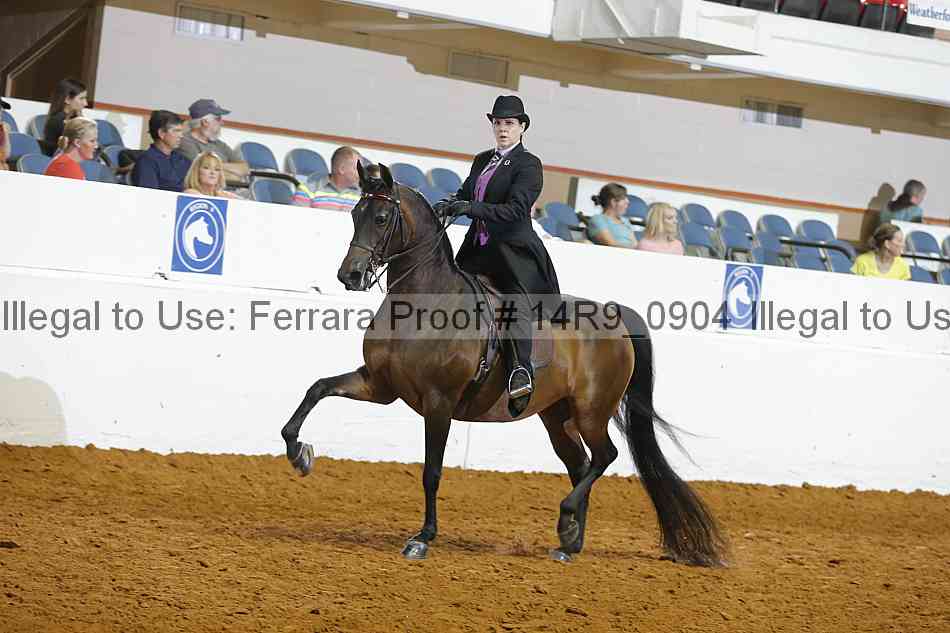 Proof 14r9_0904