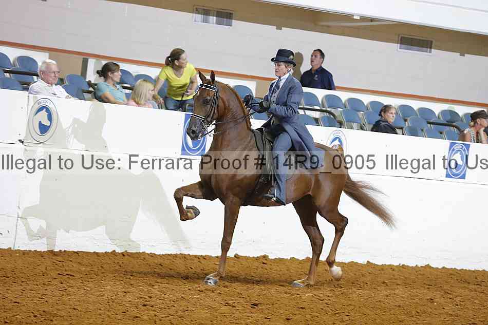 Proof 14r9_0905