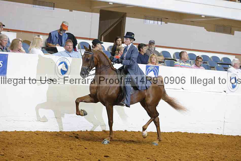 Proof 14r9_0906