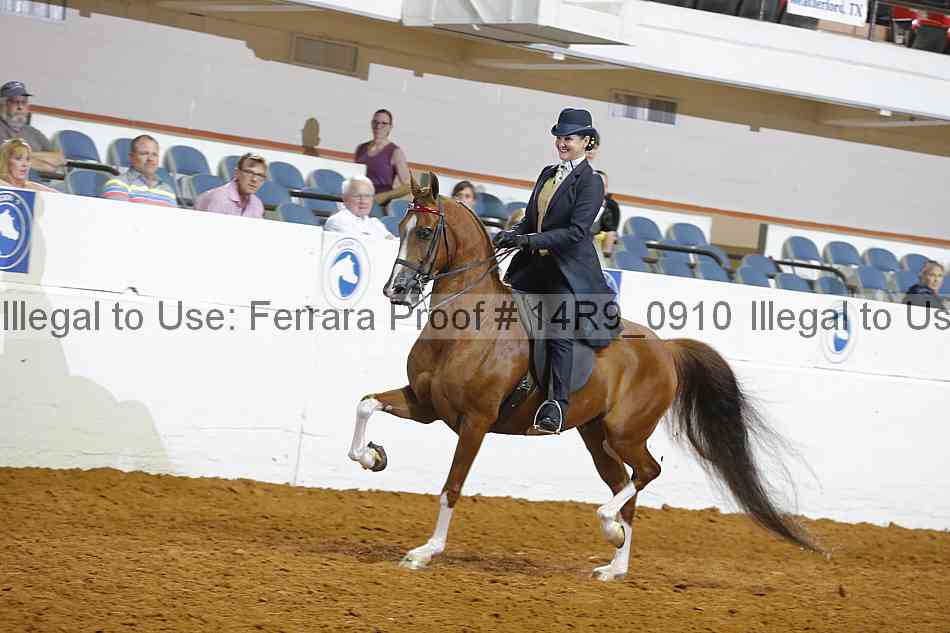Proof 14r9_0910