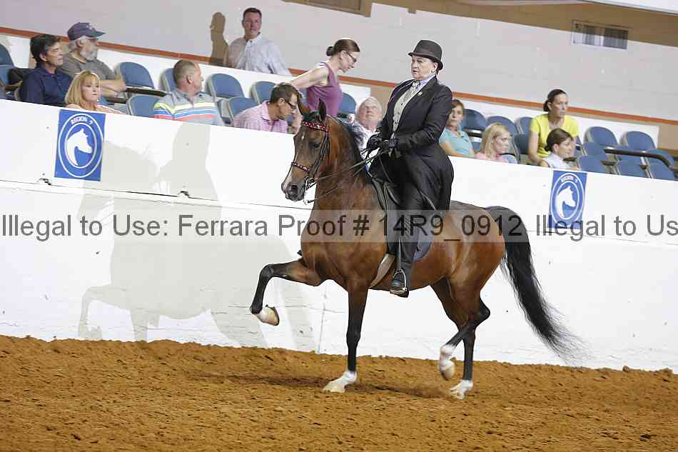 Proof 14r9_0912