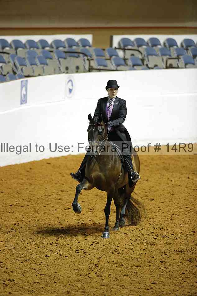 Proof 14r9_0913