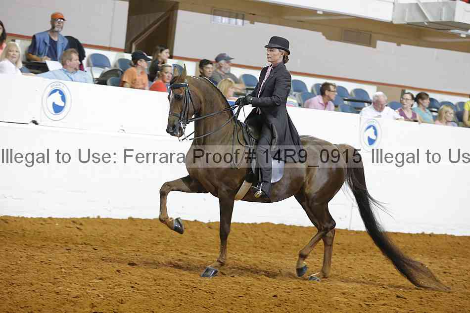 Proof 14r9_0915