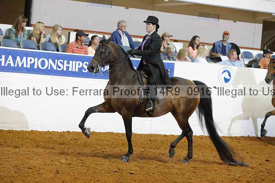 Proof 14r9_0916