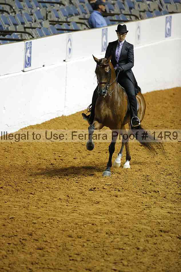 Proof 14r9_0917