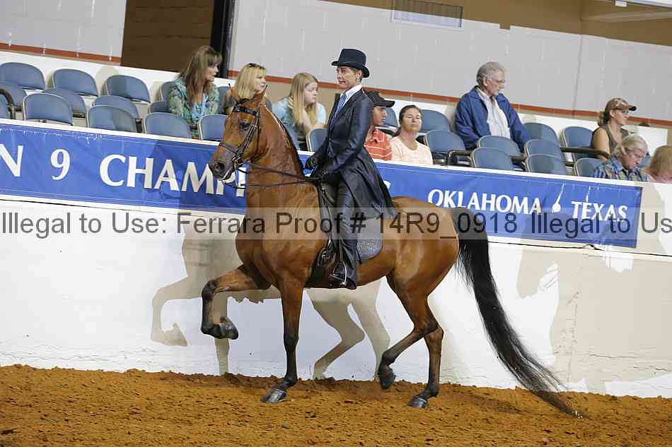 Proof 14r9_0918