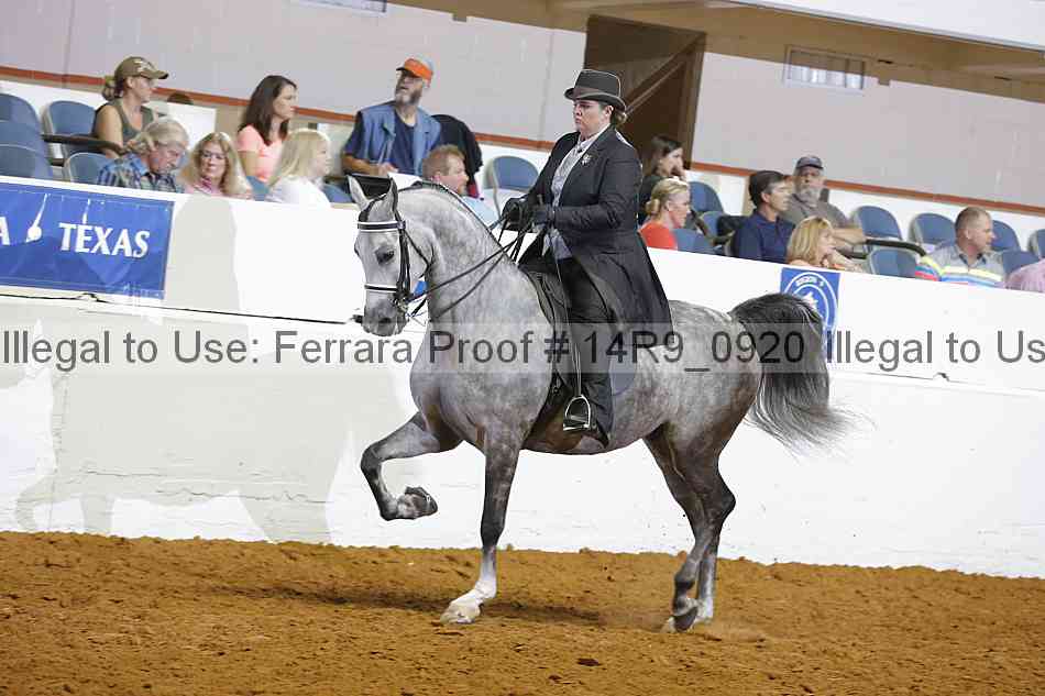 Proof 14r9_0920