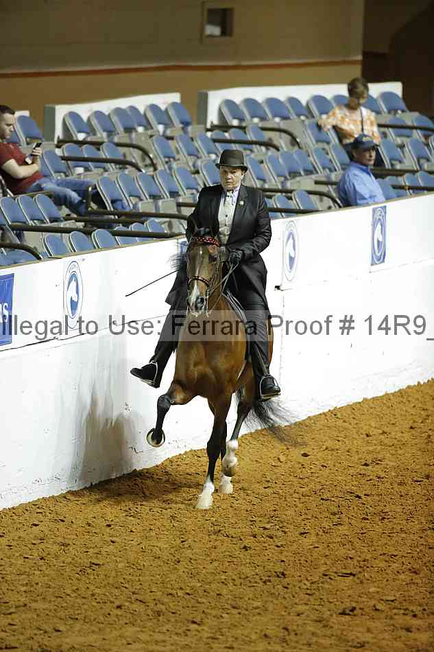 Proof 14r9_0924