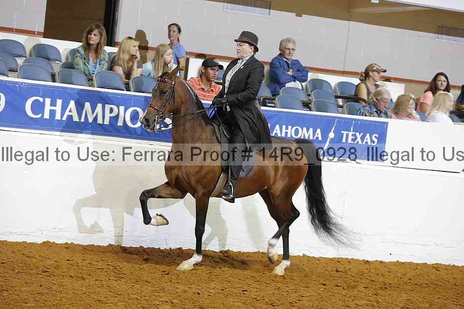 Proof 14r9_0928