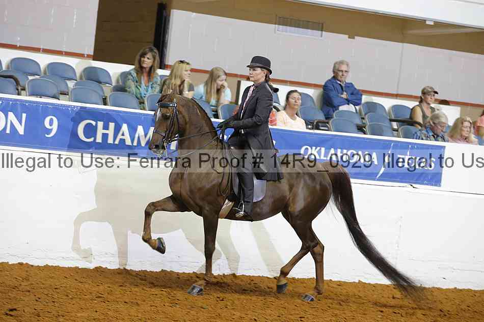 Proof 14r9_0929