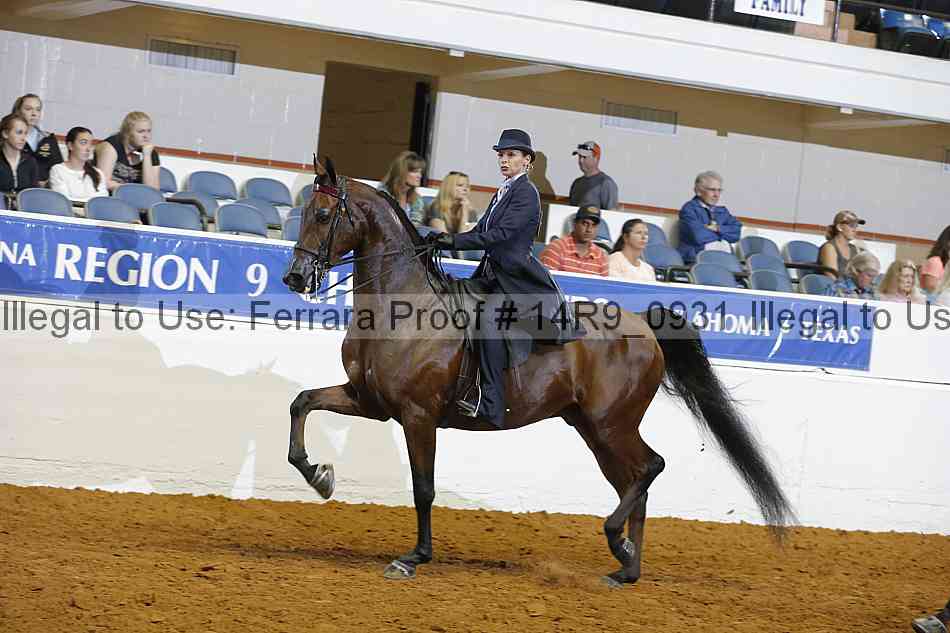 Proof 14r9_0931