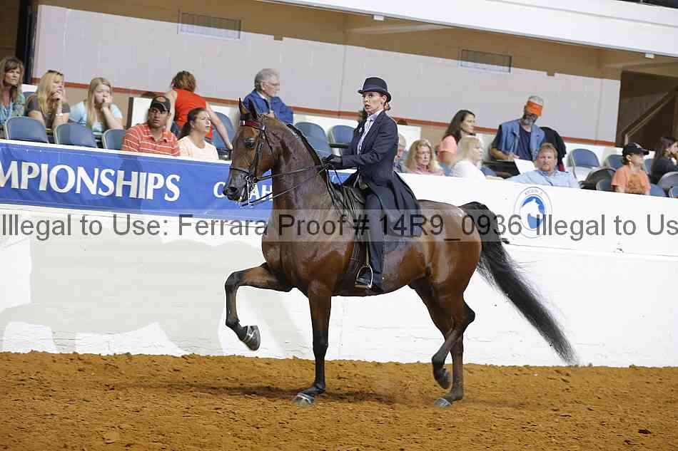 Proof 14r9_0936