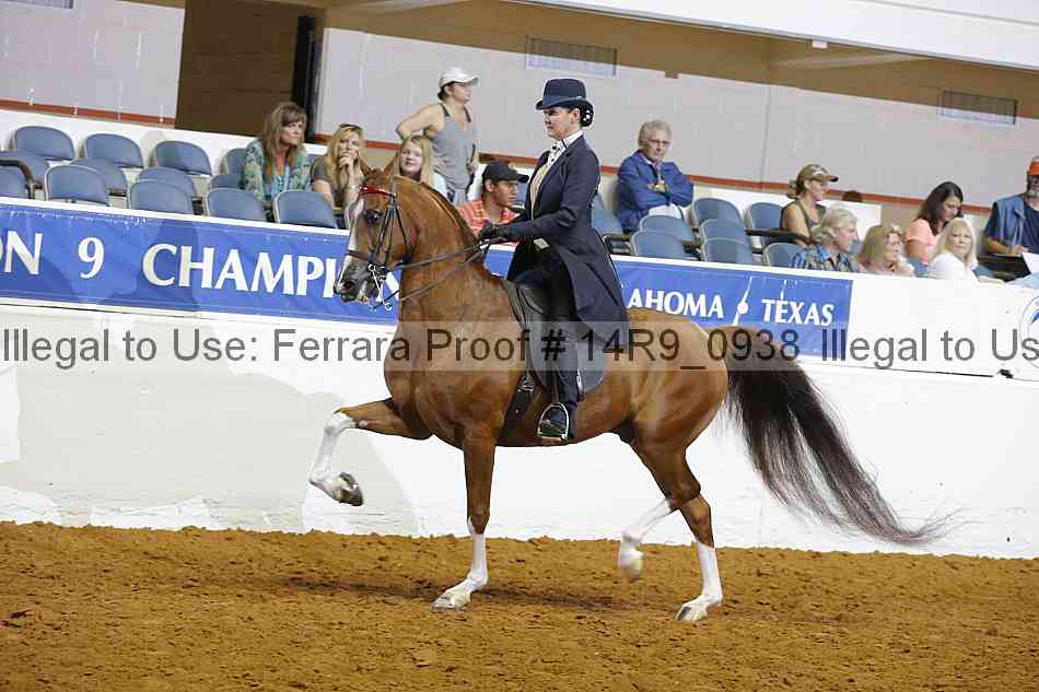 Proof 14r9_0938