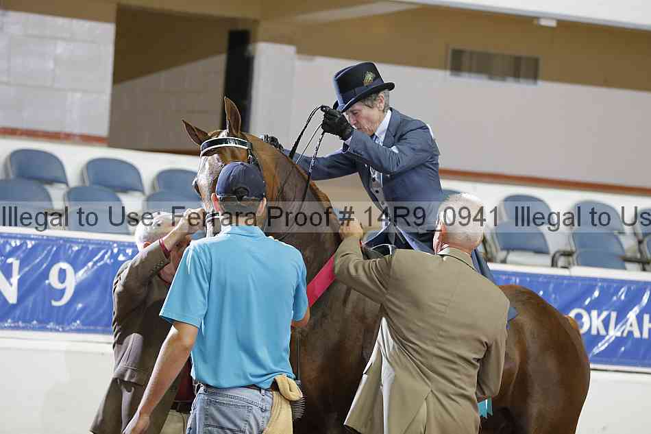 Proof 14r9_0941