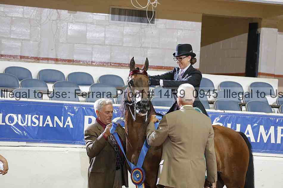 Proof 14r9_0945