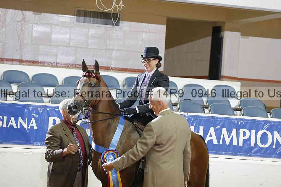 Proof 14r9_0946
