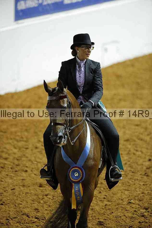 Proof 14r9_0952