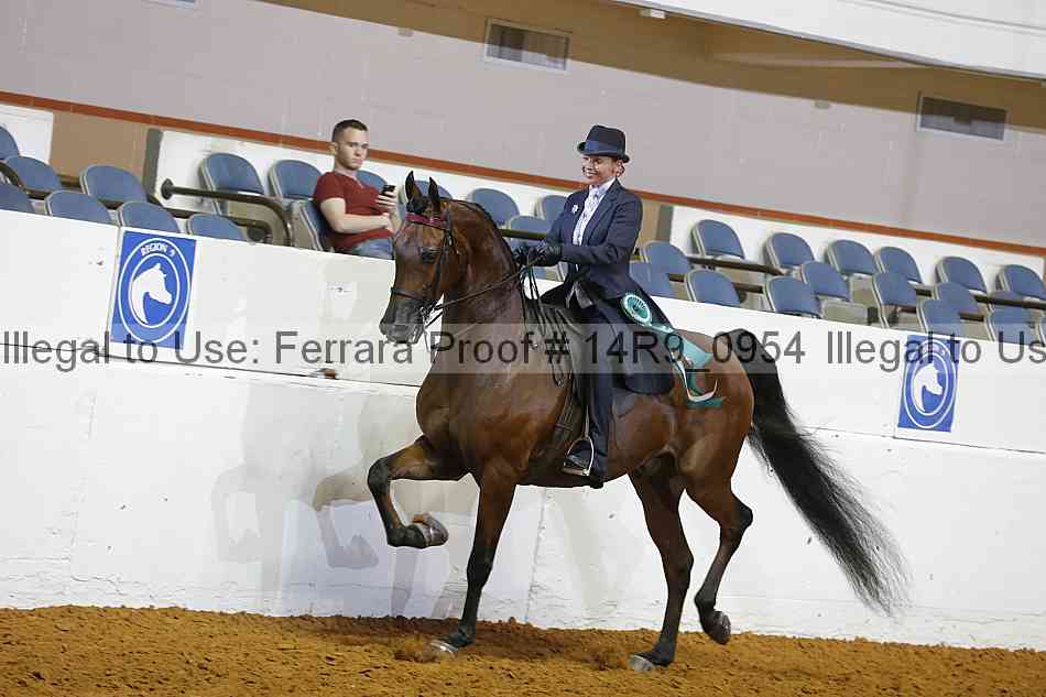 Proof 14r9_0954
