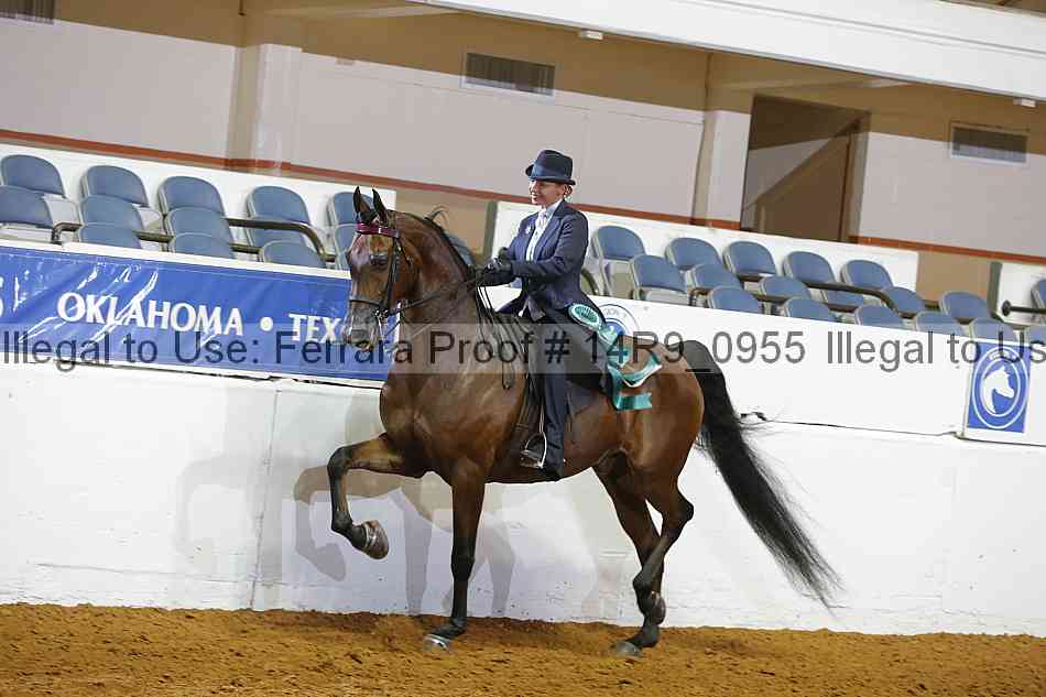 Proof 14r9_0955