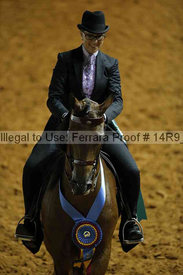 Proof 14r9_0956