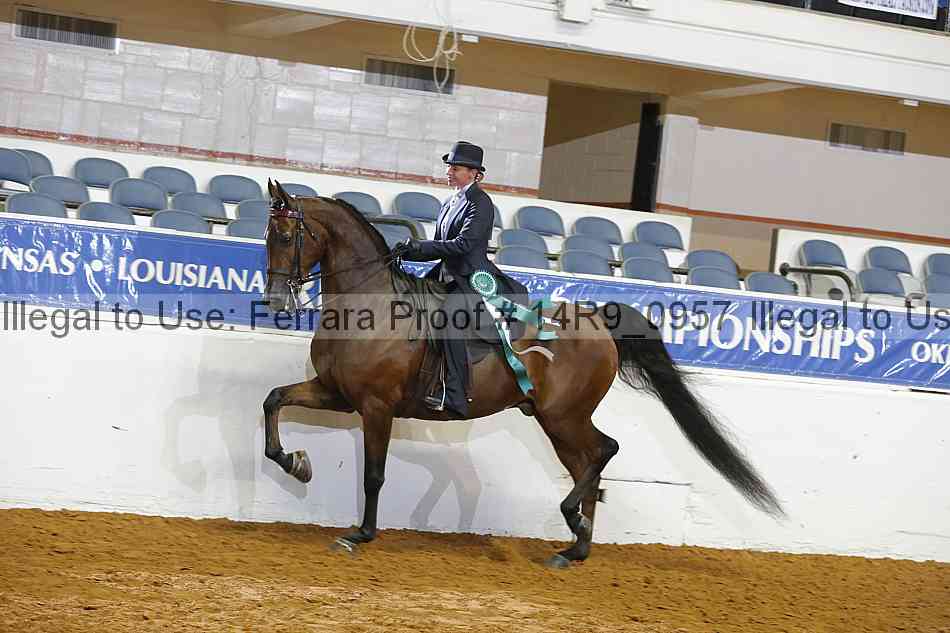 Proof 14r9_0957