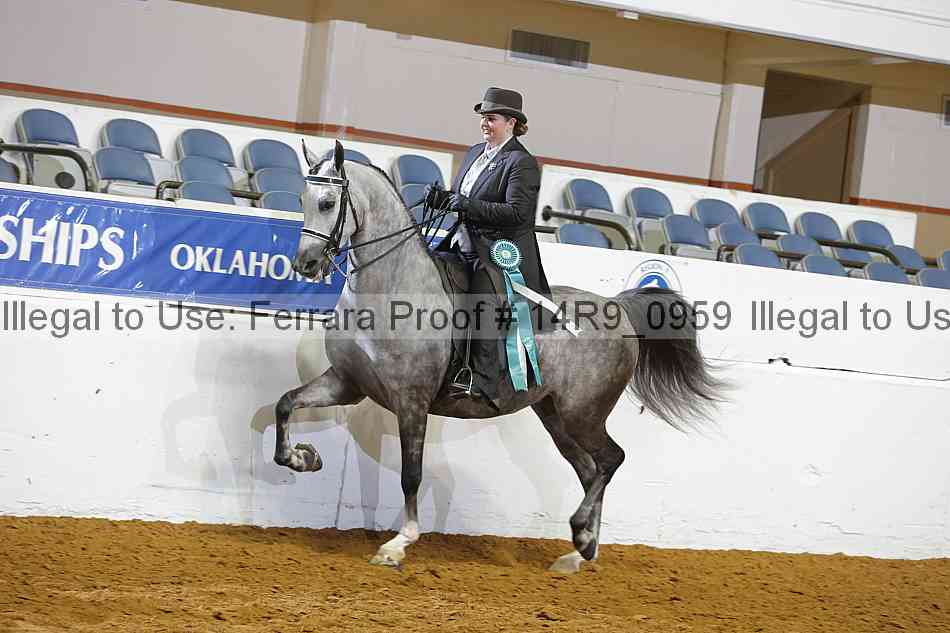 Proof 14r9_0959