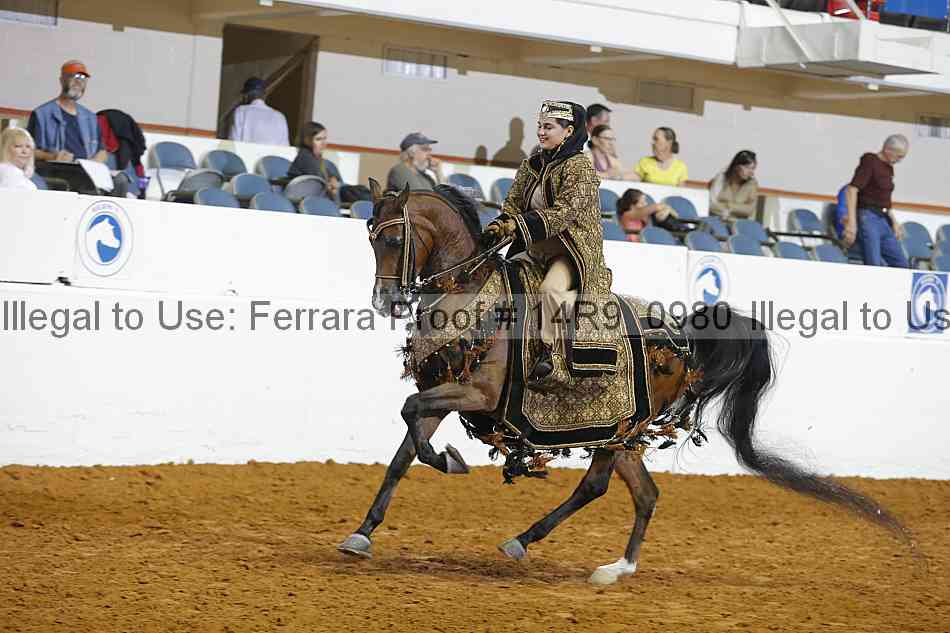 Proof 14r9_0980