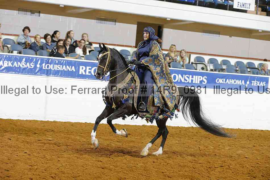 Proof 14r9_0981