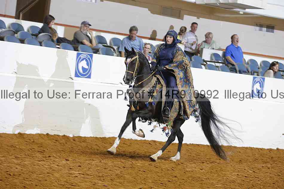 Proof 14r9_0992