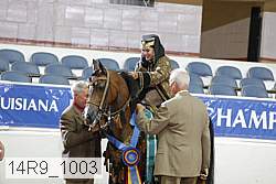 14r9_1003 proof