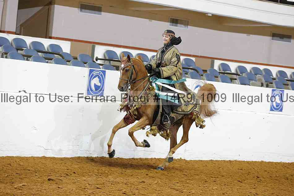 Proof 14r9_1009