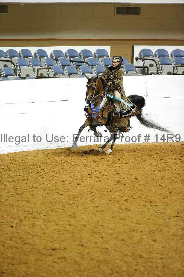 Proof 14r9_1021