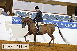 14r9_1029 proof