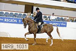 14r9_1031 proof