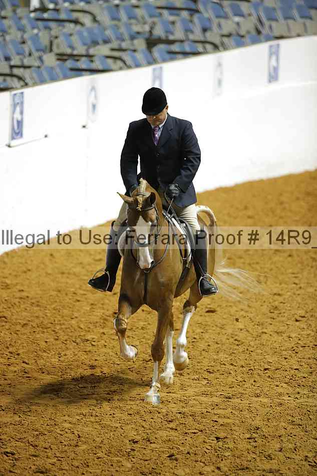 Proof 14r9_1038