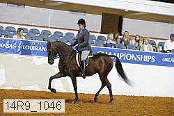 14r9_1046 proof