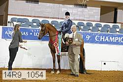 14r9_1054 proof