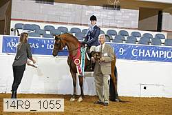 14r9_1055 proof
