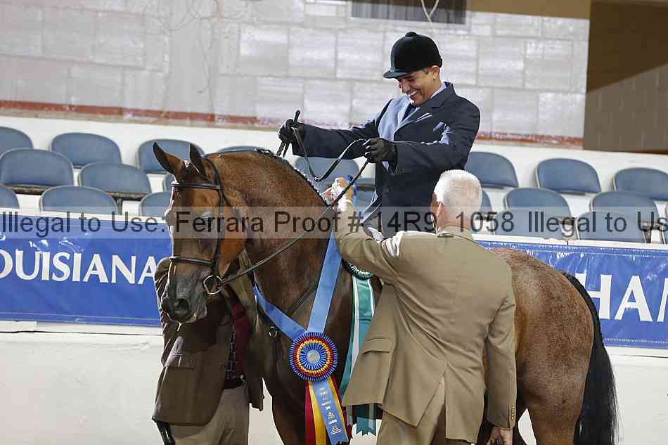 Proof 14r9_1058
