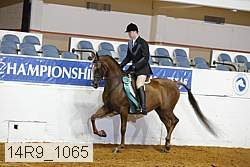 14r9_1065 proof
